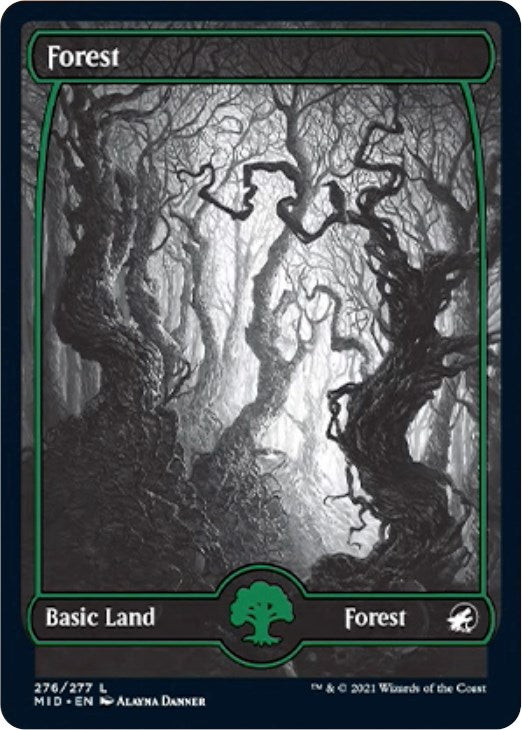 Forest (276) [MID - 276]