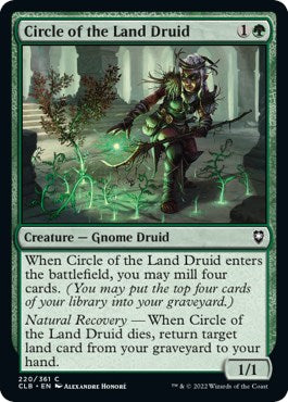 Circle of the Land Druid