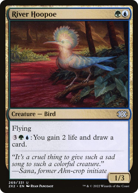 River Hoopoe [2X2 - 269]