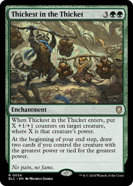 Thickest in the Thicket [BLC - 34]