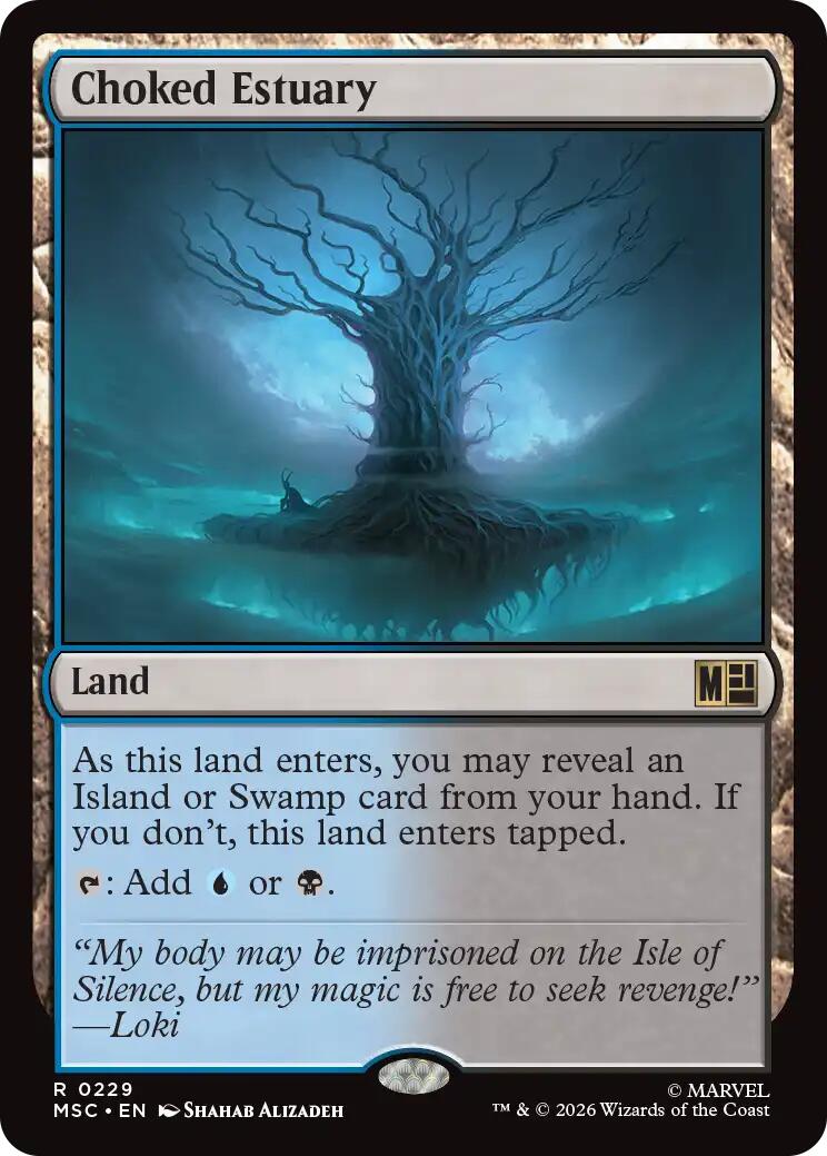 Choked Estuary (Surge Foil)